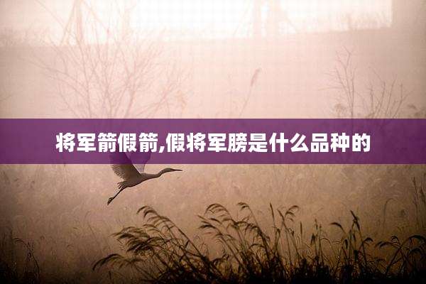 将军箭假箭,假将军膀是什么品种的