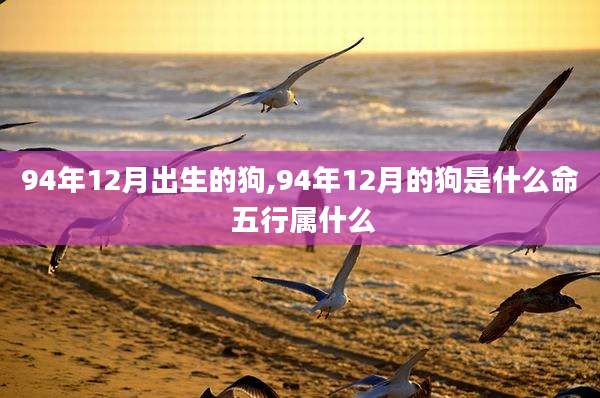 94年12月出生的狗,94年12月的狗是什么命 五行属什么