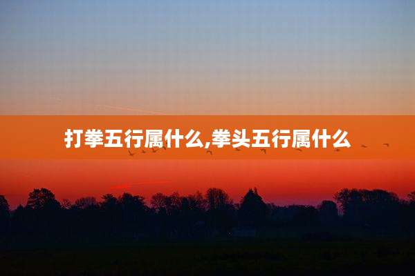 打拳五行属什么,拳头五行属什么