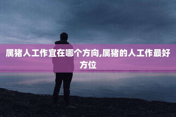 属猪人工作宜在哪个方向,属猪的人工作最好方位