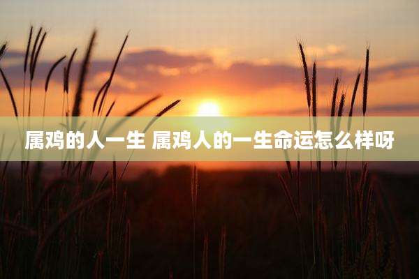属鸡的人一生 属鸡人的一生命运怎么样呀
