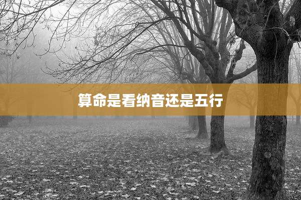 算命是看纳音还是五行