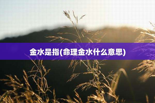 金水是指(命理金水什么意思)