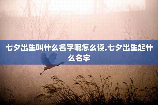 七夕出生叫什么名字呢怎么读,七夕出生起什么名字