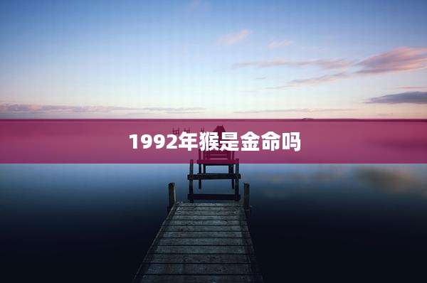 1992年猴是金命吗