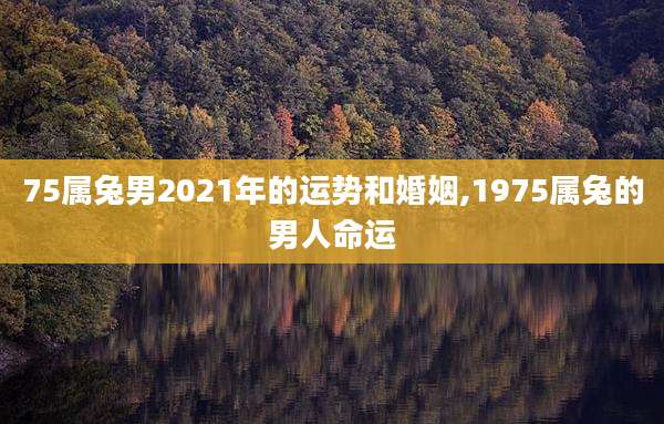 75属兔男2021年的运势和婚姻,1975属兔的男人命运