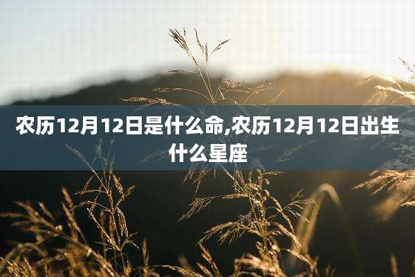 农历12月12日是什么命,农历12月12日出生什么星座