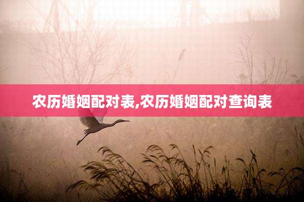 农历婚姻配对表,农历婚姻配对查询表