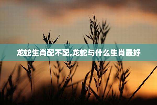 龙蛇生肖配不配,龙蛇与什么生肖最好
