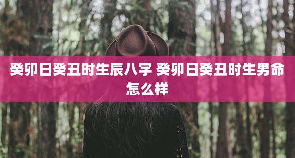 癸卯日癸丑时生辰八字 癸卯日癸丑时生男命怎么样