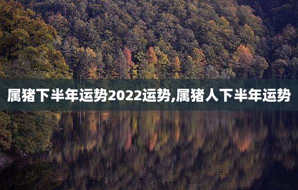 属猪下半年运势2022运势,属猪人下半年运势