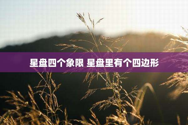 星盘四个象限 星盘里有个四边形