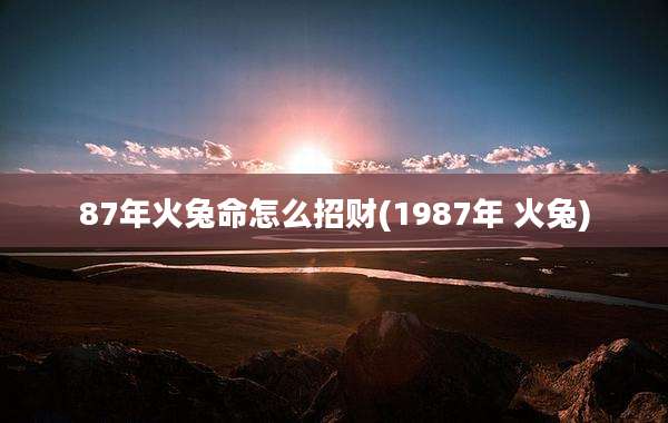 87年火兔命怎么招财(1987年 火兔)