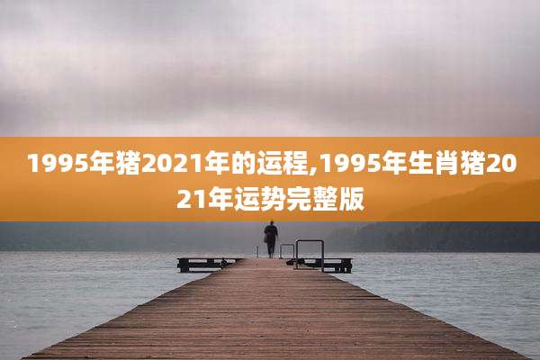 1995年猪2021年的运程,1995年生肖猪2021年运势完整版