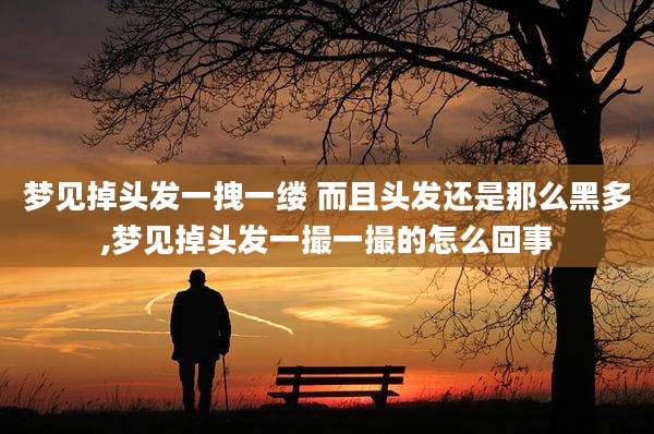 梦见掉头发一拽一缕 而且头发还是那么黑多,梦见掉头发一撮一撮的怎么回事