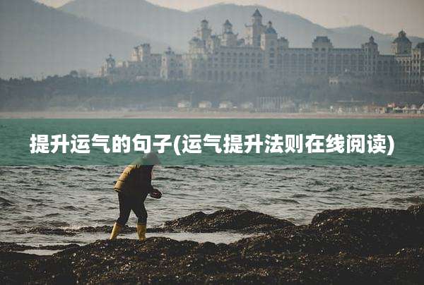 提升运气的句子(运气提升法则在线阅读)