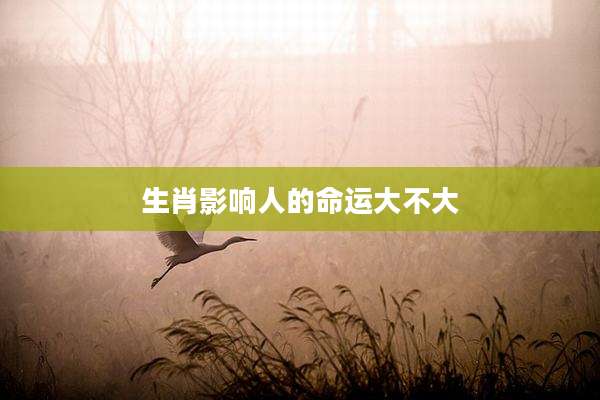 生肖影响人的命运大不大