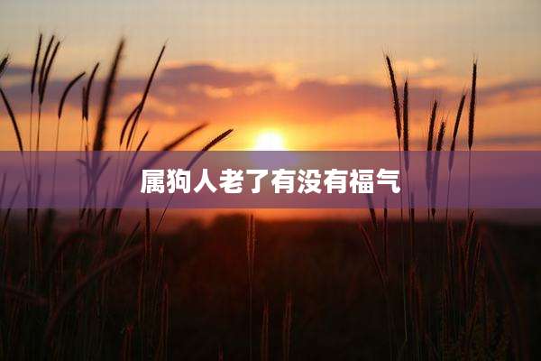 属狗人老了有没有福气