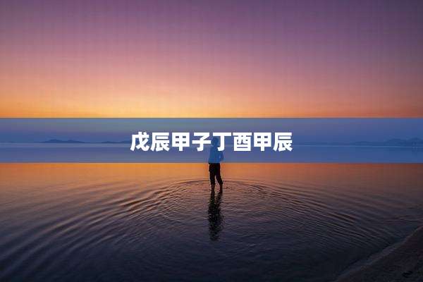 戊辰甲子丁酉甲辰