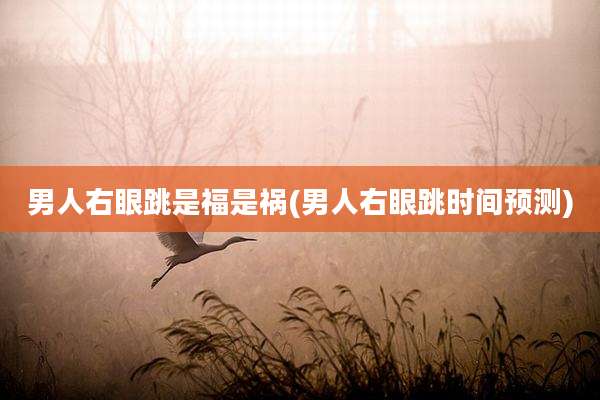 男人右眼跳是福是祸(男人右眼跳时间预测)