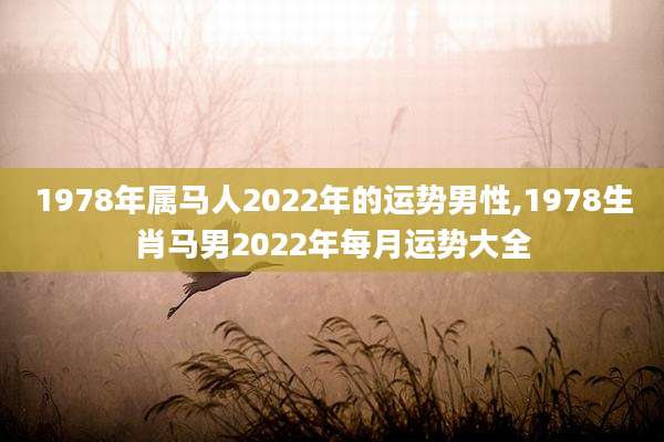 1978年属马人2022年的运势男性,1978生肖马男2022年每月运势大全