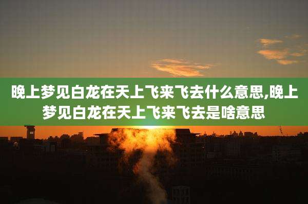 晚上梦见白龙在天上飞来飞去什么意思,晚上梦见白龙在天上飞来飞去是啥意思