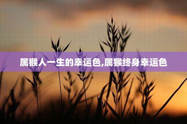 属猴人一生的幸运色,属猴终身幸运色