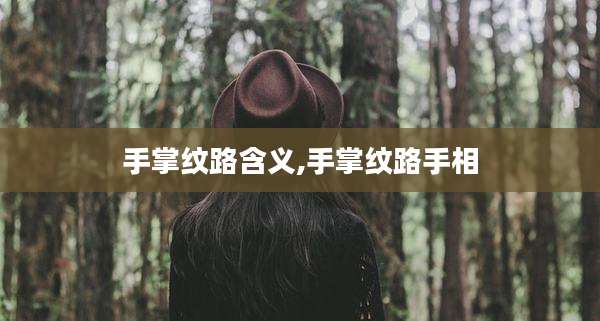 手掌纹路含义,手掌纹路手相