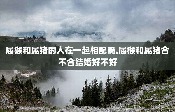 属猴和属猪的人在一起相配吗,属猴和属猪合不合结婚好不好