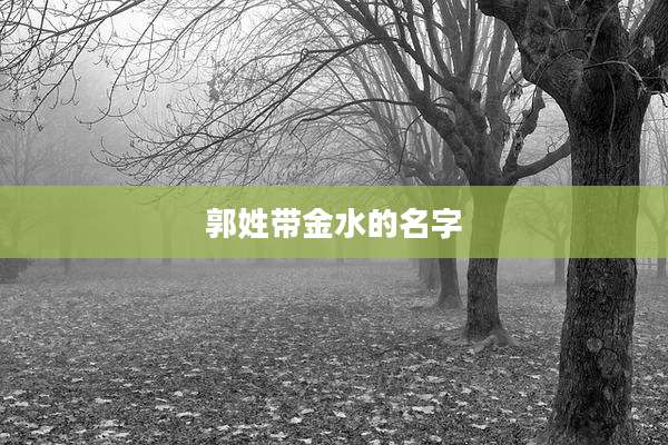 郭姓带金水的名字