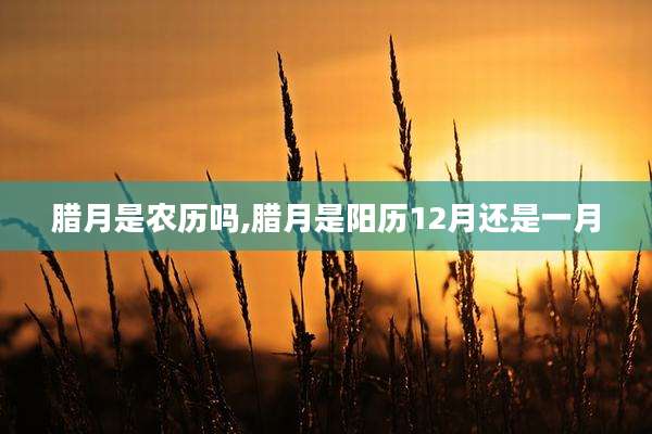 腊月是农历吗,腊月是阳历12月还是一月