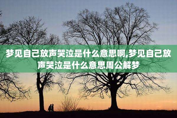梦见自己放声哭泣是什么意思啊,梦见自己放声哭泣是什么意思周公解梦