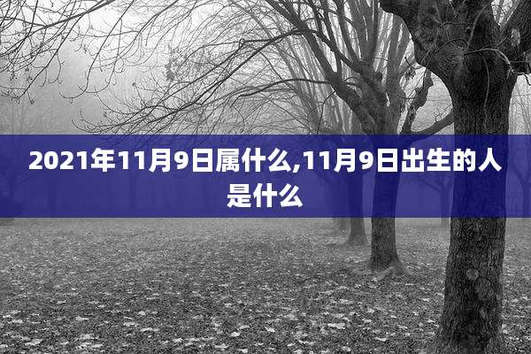2021年11月9日属什么,11月9日出生的人是什么