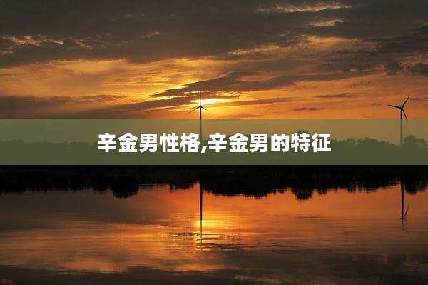 辛金男性格,辛金男的特征