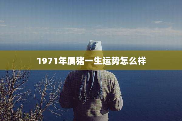 1971年属猪一生运势怎么样