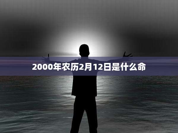 2000年农历2月12日是什么命