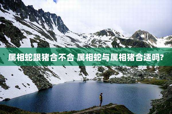 属相蛇跟猪合不合 属相蛇与属相猪合适吗?