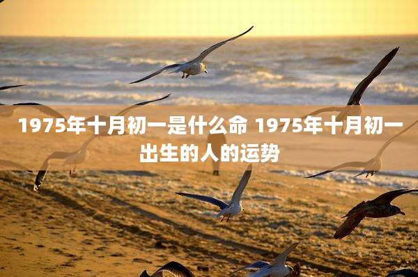 1975年十月初一是什么命 1975年十月初一出生的人的运势