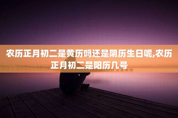 农历正月初二是黄历吗还是阴历生日呢,农历正月初二是阳历几号