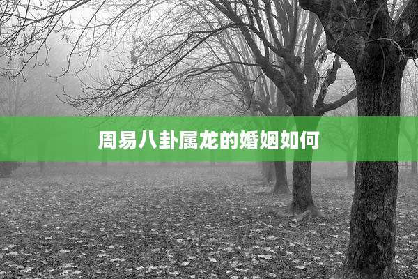 周易八卦属龙的婚姻如何