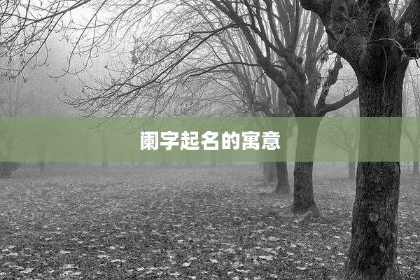 阑字起名的寓意