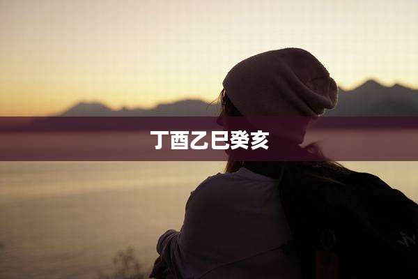丁酉乙巳癸亥