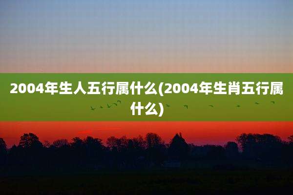 2004年生人五行属什么(2004年生肖五行属什么)