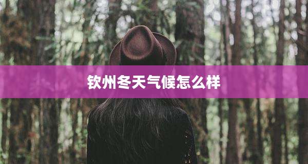 钦州冬天气候怎么样