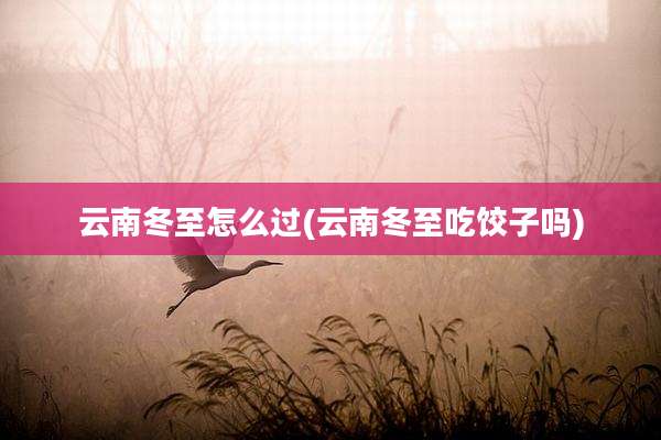 云南冬至怎么过(云南冬至吃饺子吗)