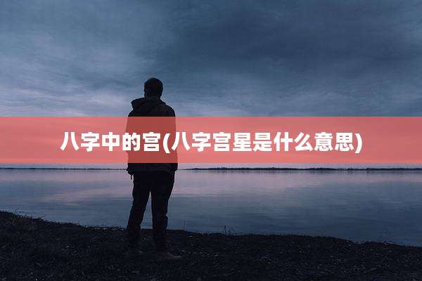 八字中的宫(八字宫星是什么意思)