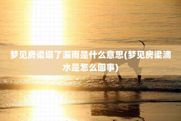 梦见房梁塌了漏雨是什么意思(梦见房梁滴水是怎么回事)