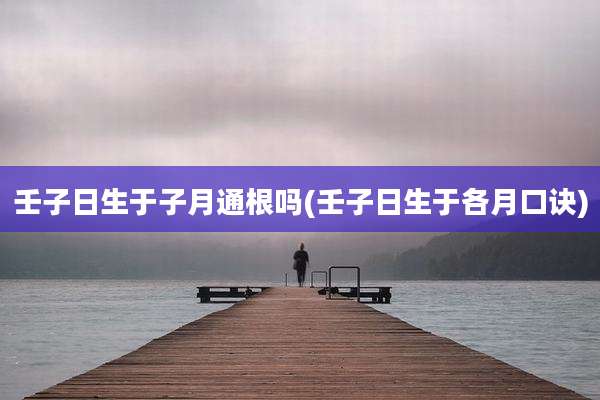 壬子日生于子月通根吗(壬子日生于各月口诀)