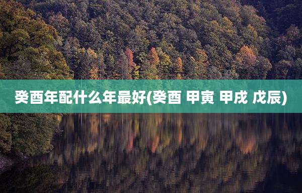 癸酉年配什么年最好(癸酉 甲寅 甲戌 戊辰)