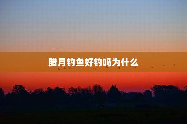腊月钓鱼好钓吗为什么